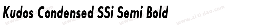 Kudos Condensed SSi Semi Bold Condensed Italic字体转换